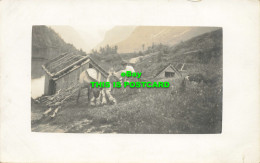 R586605 Farm. Woman With Two Horses - Monde