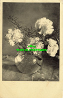 R585802 Carnations In A Vase. H. J. N. Nr. 2985 - Monde