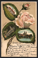 Passepartout-Lithographie Donaueschingen, Schloss, Donauquelle, Rosenblüte  - Donaueschingen