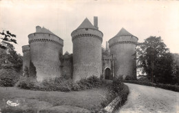 53 LASSAY CHÂTEAU DE LASSAY - Lassay Les Chateaux