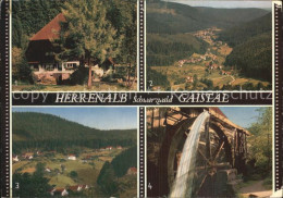 72595455 Herrenalb Bad Herrenalb Schwarzwaldhaus Blick Vom Schweitzerkopf Oberes - Bad Herrenalb