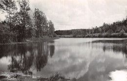 21 RECEY SUR OURCE ETANG DU MOULIN DE FAVEROLLES - Autres & Non Classés