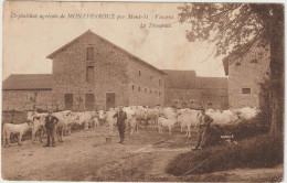 Orphelinat Agricole De MONTFERROUX Par Mont-St.-Vincent. Le Troupeau - Autres & Non Classés