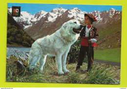 65 Les Pyrénées En 1981 Beau Chien Avec Enfant En Costume Sur La Route D'Argelès Au Col D'Aubisque Le Lac D'Estaing - Chiens