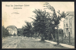 AK Petershagen-Colonie, Villen Im Hohenlohethal  - Petershagen (Eggersdorf)
