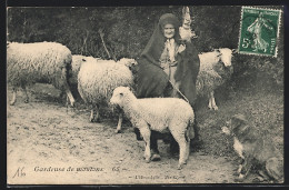 CPA Aquitanien / Aquitaine, Gardeuse De Moutons  - Unclassified