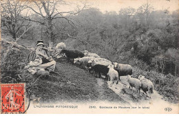 L'AUVERGNE PITTORESQUE - Gardeuse De Moutons (sur Le Talus) - Très Bon état - Auvergne Types D'Auvergne