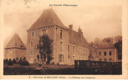 Environs De BELLEME - Le Château Des Feugerets - Très Bon état - Autres & Non Classés