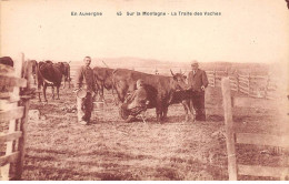 En Auvergne - Sur La Montagne - La Traite Des Vaches - Très Bon état - Auvergne Types D'Auvergne