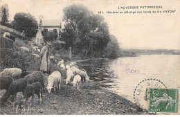 Moutons Au Pâturage Aux Bords Du Lac D'AYDAT - Très Bon état - Autres & Non Classés