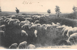 FREVENT - Moutons Sur Le Mont Plaisir - Très Bon état - Autres & Non Classés