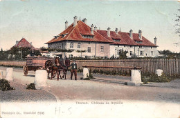 THONON - Château De Ripaille - Très Bon état - Thonon-les-Bains