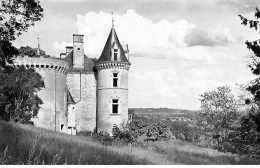 PONT DE BRAYE - Panorama Vu Du Château - Très Bon état - Autres & Non Classés