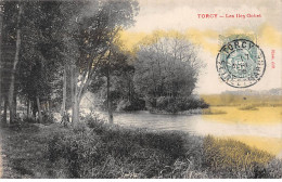 TORCY - Les Iles Gobet - état - Torcy