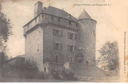 Château D'OMBREL Près Saugues - Très Bon état - Sonstige & Ohne Zuordnung