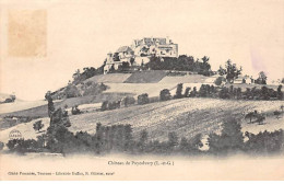 Château De PUYCALVARY - Très Bon état - Autres & Non Classés
