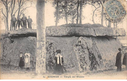 SAUMUR - Temple Des Druides - Très Bon état - Saumur