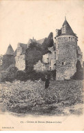 Château De BLAISON - Très Bon état - Sonstige & Ohne Zuordnung