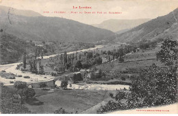 FLORAC - Pont Du Tarn Et Pré Du Seigneur - Très Bon état - Florac