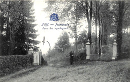 Tilff - Promenade Dans Les Montagnes (Edit. Grand Bazar Liege 1906) - Esneux