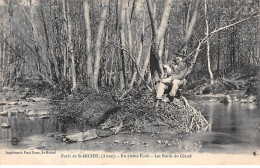 Forêt De SAINT MICHEL - En Pleine Forêt - Les Bords Du Gland - Très Bon état - Autres & Non Classés