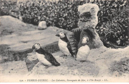 PERROS GUIREC - Les Calculots, Perroquets De Mer, à L'Ile Rouzic - Très Bon état - Perros-Guirec