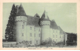 PELLEVOISIN - Château Du Mée - Très Bon état - Andere & Zonder Classificatie