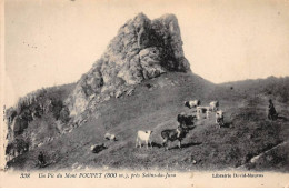 Un Pic Du Mont POUPET Près Salins Du Jura - Très Bon état - Autres & Non Classés