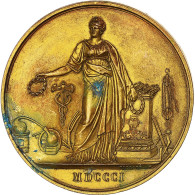 France, Médaille, Consulat, Société D'Encouragement à L'Industrie, 1801 - Otros & Sin Clasificación