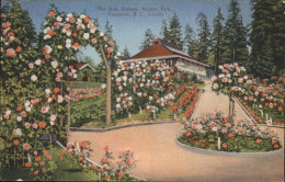11248591 Vancouver British Columbia Rose Gardens Stanley Park Vancouver - Non Classés