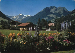 11247946 Gstaad Oldenhorn Staldenflueh Gstaad - Autres & Non Classés