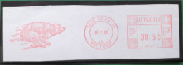 Schweiz Briefstück 1989 Maschinenstempel Bär Mit Tempo - Oblitérés