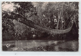 Guinée Conakry - Pont De Lianes Sur Le Diani - Ed. Gil 79 - Französisch-Guinea