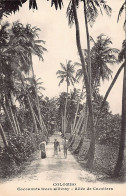 Sri Lanka - Cocoanut Trees Alley - Publ. H. Grimaud (no Imprint) - Sri Lanka (Ceylon)