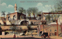 Algérie - TIARET - Fontaine Et Figuier Et La Mosquée - Ed. Gauthier  - Tiaret