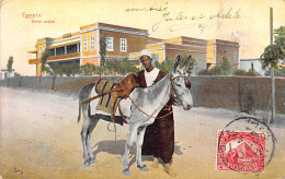 Egypt - LUXOR - Egyptian Donkey Driver - Publ. Dr. Trenkler Lur. 13 - Louxor