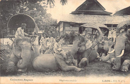 Laos - Éléphants Couchés - Ed. Collection Raquez Série B - N. 9 - Laos