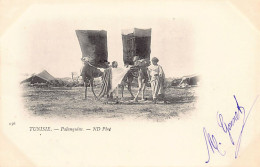 Tunisie - Carte Précurseur - Palanquins - Ed. ND Phot. Neurdein 136 - Tunesien