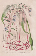 Uropedium Lindenii - Sollya Drummundi - Venezuela Ecuador / Orchidee Orchid / Billardiera / Flower Blume Flowe - Prints & Engravings
