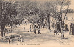 TLEMCEN - La Promenade Du Méchouar. - Tlemcen