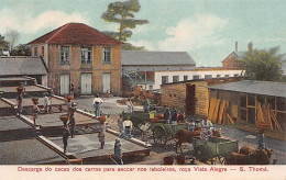 São Tomé & Príncipe - FARM VISTA ALEGRE - Cacao Unloading From Carts To Dry On Trays - Publ. Antonio Joaquim Braz - Sao Tome Et Principe