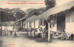 Congo Brazzaville - MINDOU - Plnatation De Cacao, Concession Sargos - Ed. Marichelle 1ère Série - 3 - Sonstige & Ohne Zuordnung