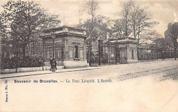 BRUXELLES - Le Parc Léopold - L'entrée - Ed. Vanderauwera Série 1 N. 79 - Parks, Gärten