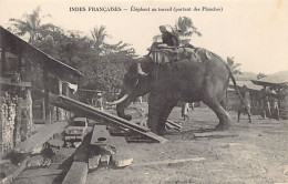 India - Elephant At Work - Indien