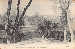 SIDI BEL ABBES L'Avenue De La Vallée Des Jardins - Ed. ND 12 - Sidi-bel-Abbès