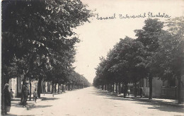 Romania - CARACAL - Bulevardul Elisabeta - REAL PHOTO - Roumanie
