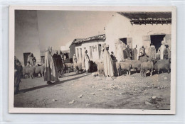 Tunisie - TADJEROUINE - Le Village Un Jour De Marché - CARTE PHOTO - Ed. Société D'élevage Du Bled El Haria  - Tunesien