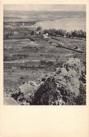 Israel - Orange Groves At Migdal - Publ. S. Adler 308 - Israel