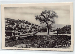 Israel - SAFAD - View From The East - Publ. Palphot 348 - Israël