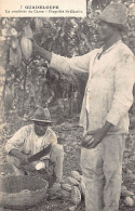 Guadeloupe - La Cueillette Du Cacao - Propriété Saint-Charles - Ed. Catan 7 - Autres & Non Classés